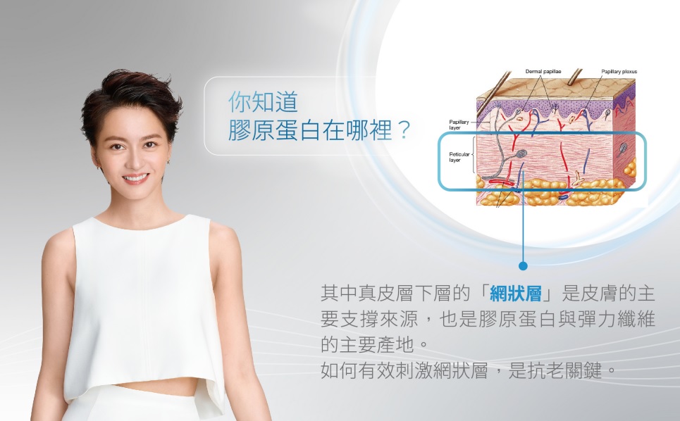 真皮層下層的網狀層是皮膚的主要支撐來源,也是膠原蛋白與彈力纖維的主要產地。如何有效刺激網狀層是抗老關鍵,高雄索夫波療程改善肌膚。